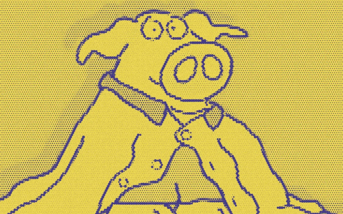 Little Pookie wearing a draped blanket, cropped with a bold purple-and-yellow Paper halftone treatment.