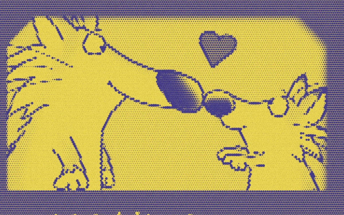 Foxes touching noses from Your Nose!, cropped with a bold purple-and-yellow Paper halftone treatment.