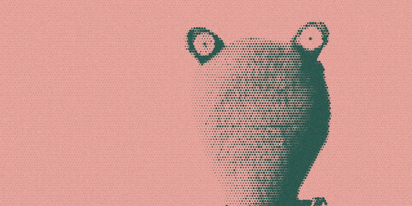 Fern the frog doll in a floral top, cropped with a bold forest-and-peach Paper halftone treatment.