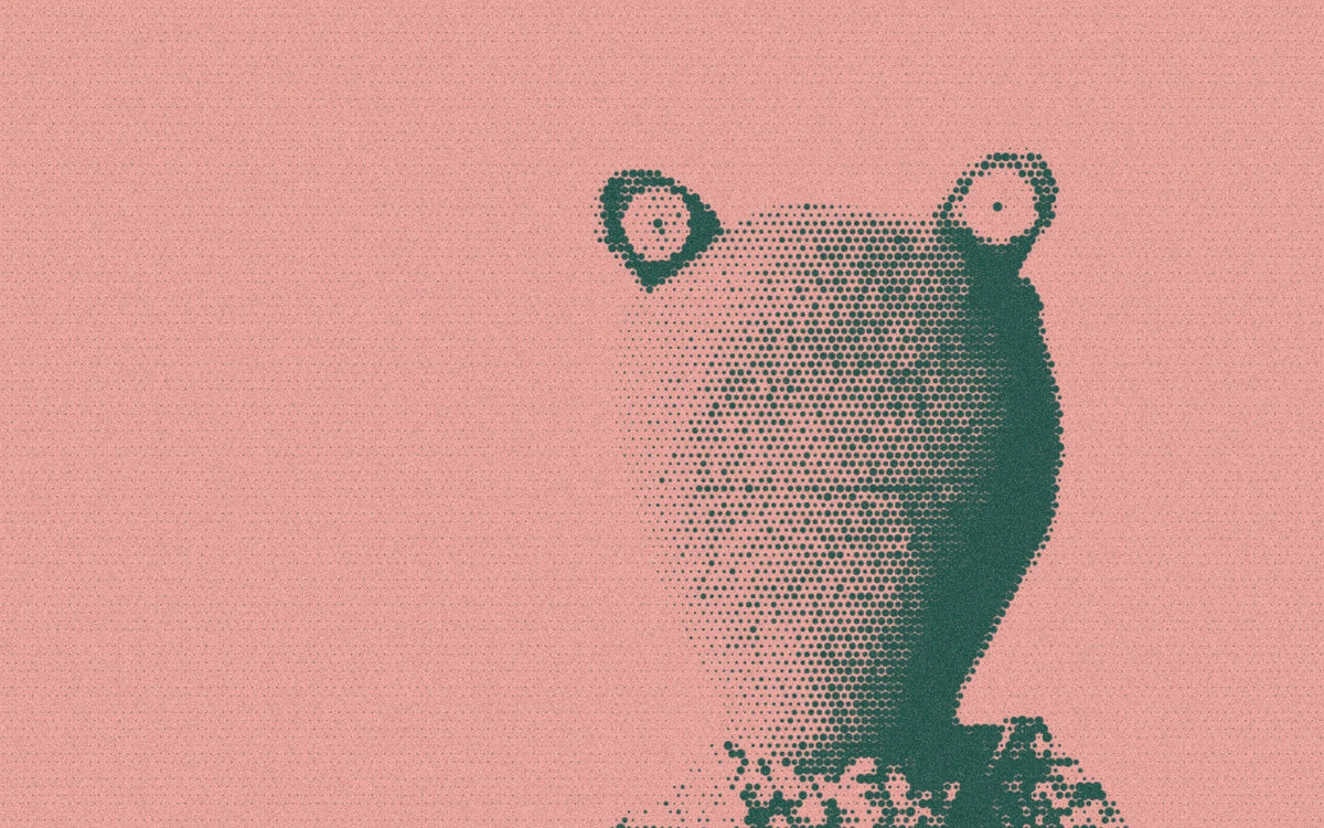 Fern the frog doll in a floral top, cropped with a bold forest-and-peach Paper halftone treatment.