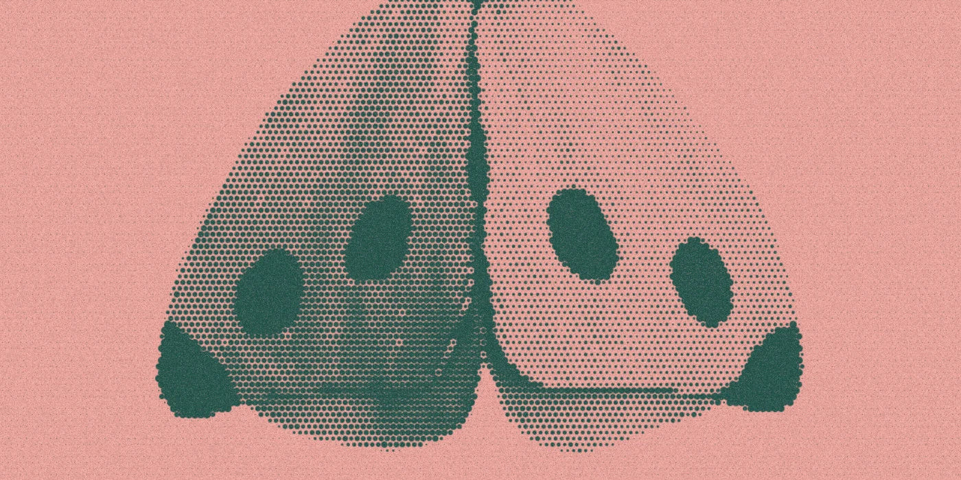 Fabric butterfly wings with printed spots, cropped with a bold forest-and-peach Paper halftone treatment.