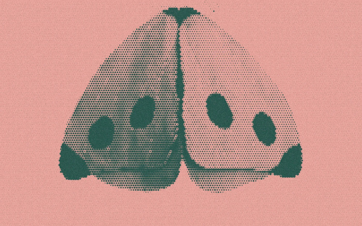 Fabric butterfly wings with printed spots, cropped with a bold forest-and-peach Paper halftone treatment.