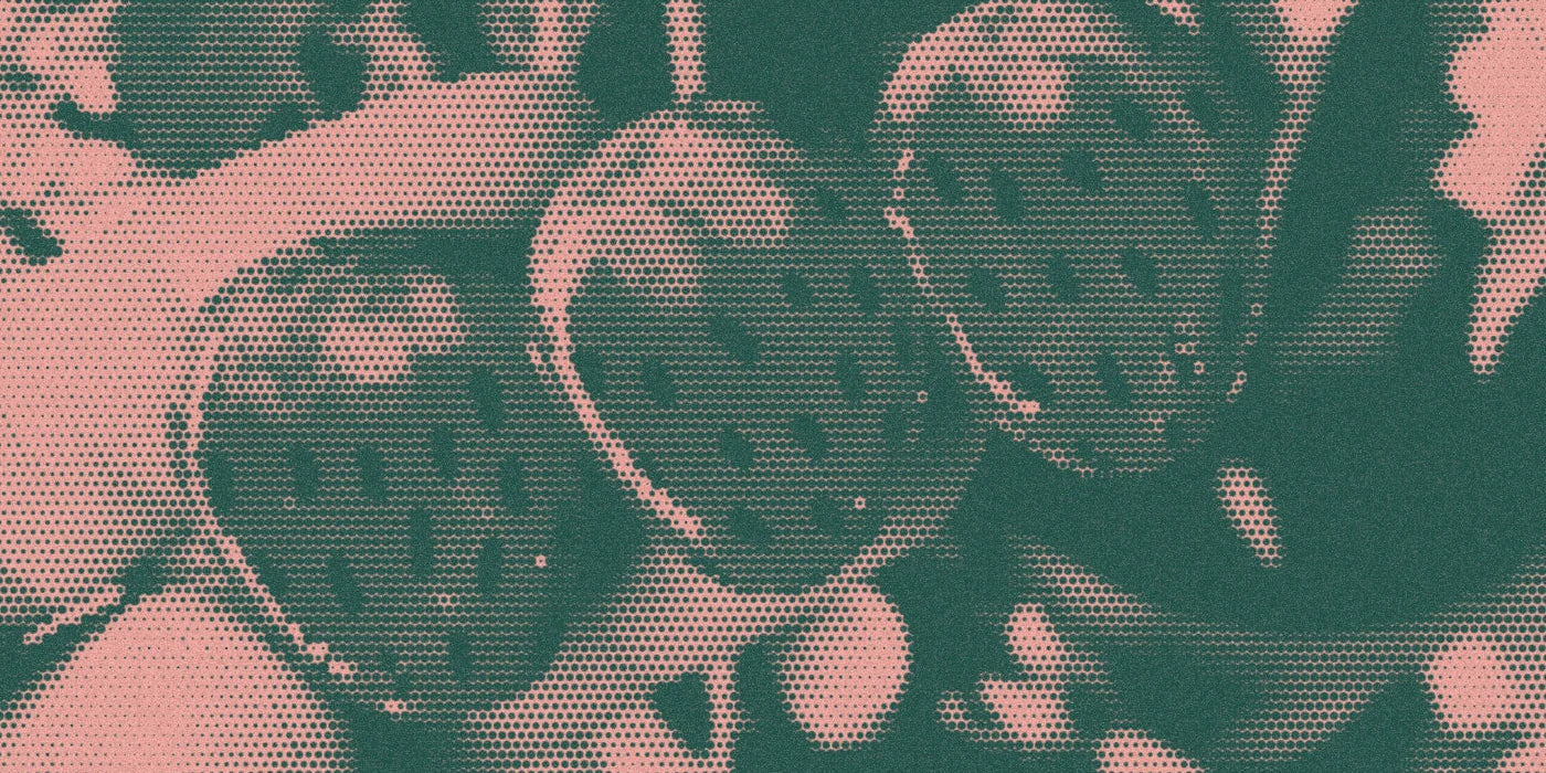 Strawberry hair clips held in front of houseplants, with a bold halftone treatment