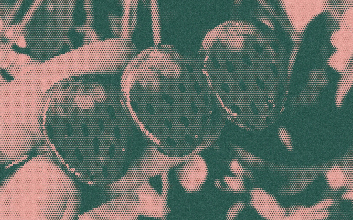 Strawberry hair clips held in front of houseplants, with a bold halftone treatment