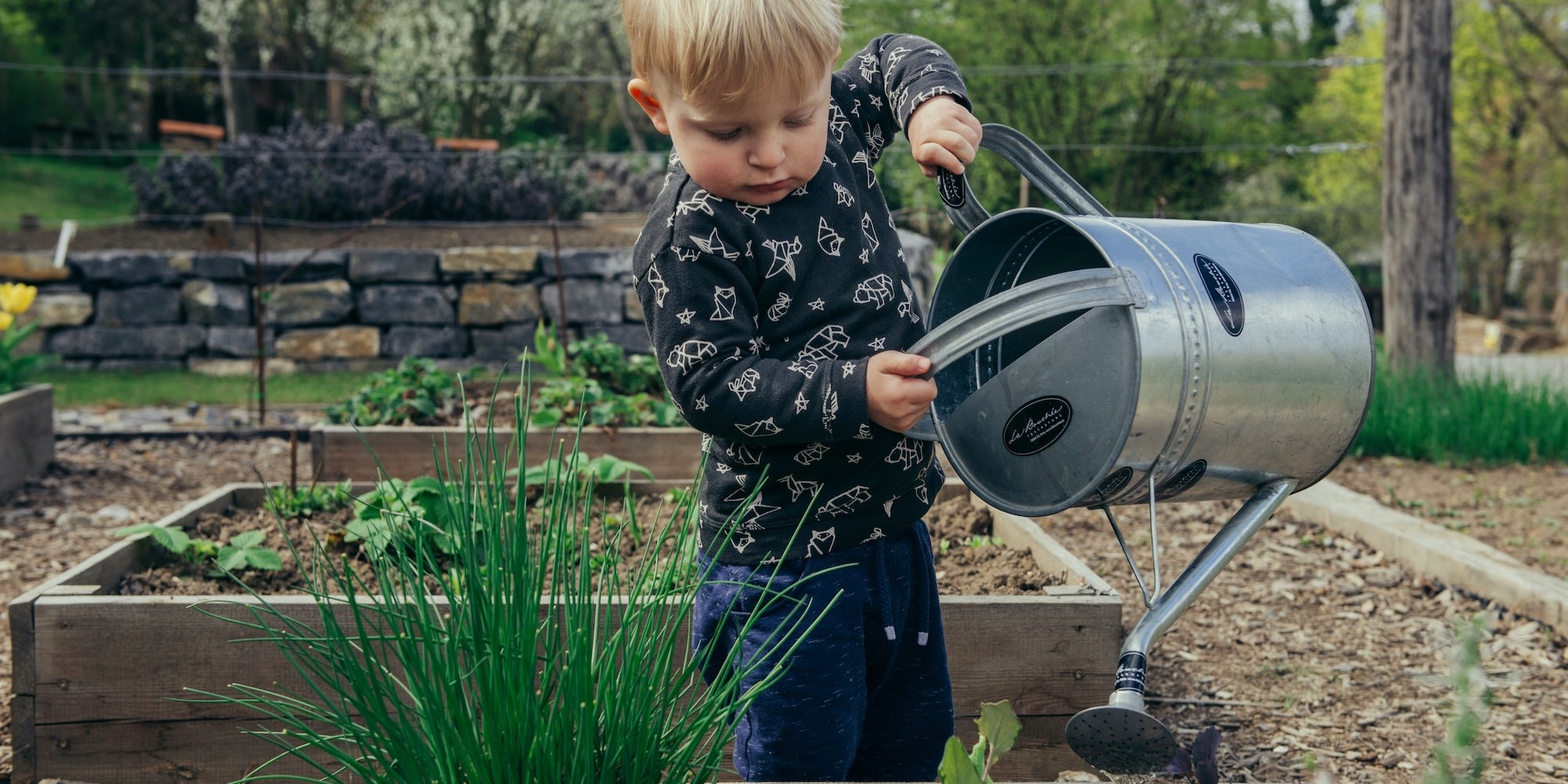 children happily engaging in indoor gardening activities