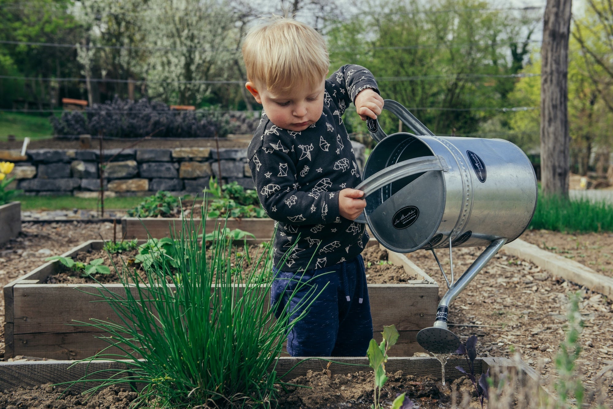 children happily engaging in indoor gardening activities