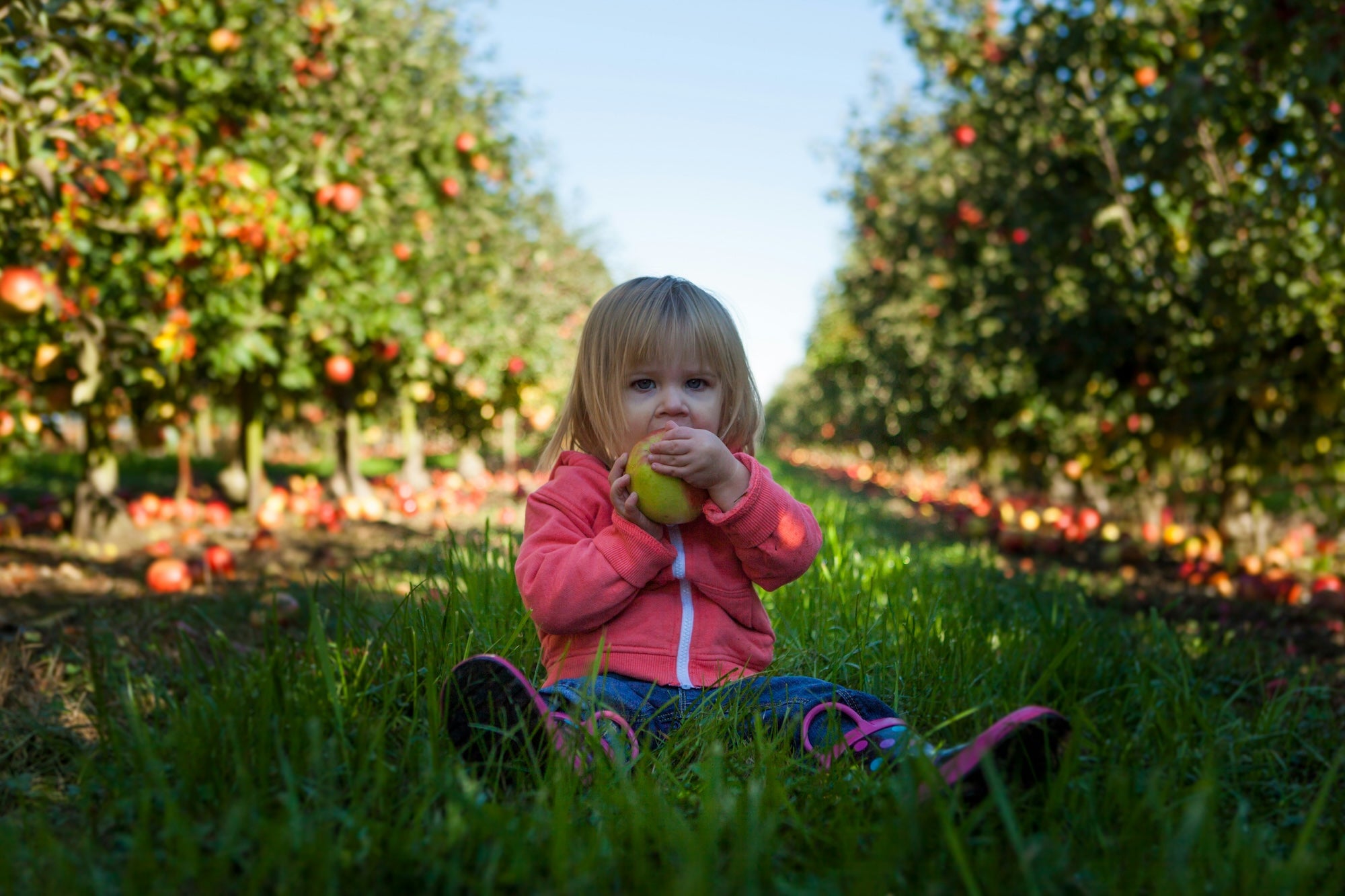 family partaking in mindful eating