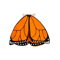 Kids’ Costume Sets, Wings and Hats | Colorful Bunch
