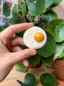 Ceramic Magnet Gifts for Notes, Desks &amp; Everyday Color